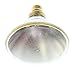 GE 90605 - 83PAR/HIR+/SP10 PAR38 Halogen Light Bulb