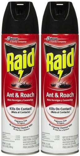Raid Ant &amp; Roach Killer Insecticide Spray, 17.5 oz-2 pk by Quidsi