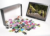 Photo Jigsaw Puzzle of Firewalkers, Polynesian from Danita Delimont