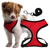 Soft Dog Harness for Puppies and Toy Breeds - Small - Includes a 4ft Leash