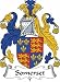 Somerset Coat of Arms Dark Womens's Tank