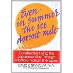 Even in Summer the Ice Doesn't Melt book cover
