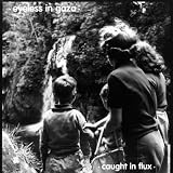 Caught in Flux/the Eyes of Beautiful Losers