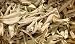 White Sage Stems and Leaves - 1 Ounce - Natural Herb Incense