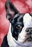 Boston Terrier Dog Art Print Signed by Artist DJ Rogers