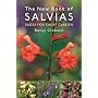 The New Book of Salvias: Sages for Every Garden