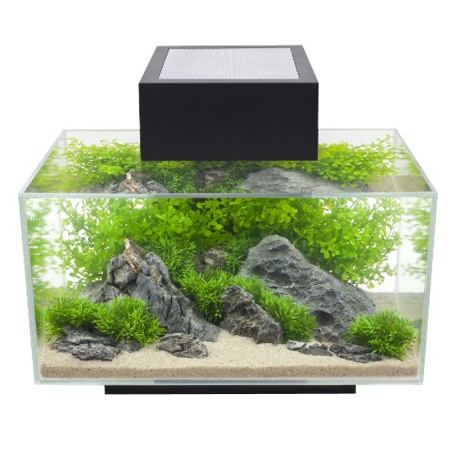 fluval edge ii