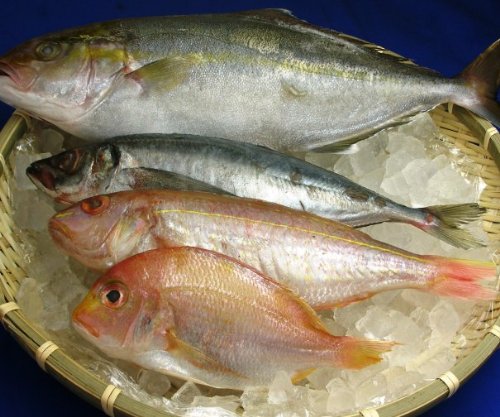 【もったいない魚】もったいないセット500ｇ【冷凍】