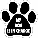 Imagine This Paw Car Magnet, My Dog is in Charge, 5-1/2-Inch by 5-1/2-Inch