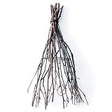 ~Coco Heart~ 簡単　白樺　スワッグベース　小（リース・ドライフラワー）