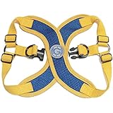 Gooby Choke Free Perfect Fit X Harness for Small Dogs, Small, Blue
