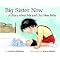 Big Sister Now (A Story About Me And Our New Baby) (Hardcover)
