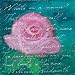 What'S in a Name - Caitlin Dundon Art Print Poster 8 x 8 i
