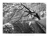 51kccCEan3L. SL160  Japanese Garden Art Poster Print by Henri Silberman, 32x24