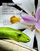 Search : The Fairy Tale of the Green Snake and the Beautiful Lily
