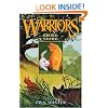 Rising Storm (Warriors, Book 4)
