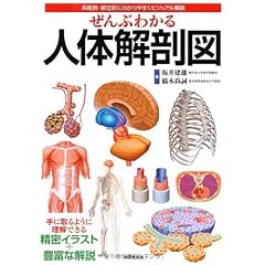 ぜんぶわかる人体解剖図―系統別・部位別にわかりやすくビジュアル解説
