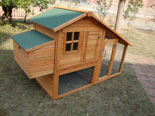 COCOON CHICKEN COOP HEN HOUSE POULTRY ARK NEST 