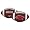 Arkansas Razorbacks