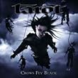 Crows Fly Black