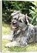 Dog - Salivating - 20 Inch Canvas Print (51 cm) by Ardea