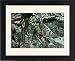 Framed Prints of MAB-401 Bananas - stalk with bunch of green bananas on tree with terminal flower from Ardea Wildlife Pets