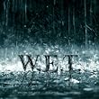 W.E.T.