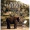 Pet and Animals in Art - Canvas Dog Studio