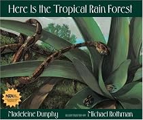 Here Is the Tropical Rain Forest