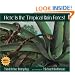 Here Is the Tropical Rain Forest (Web of Life)