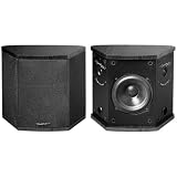150 Watt Patent Pending Dual Voice Coil Any Channel Speaker