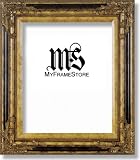 Review MyFrameStore  / 16x20 / 16'' x 20'' Frame for Picture Photo or Poster, Mahogany & Gold, style #625