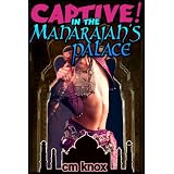 Captive! in the Maharajah's Palace (Kindle Edition) newly tagged "mughal"