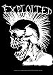 Exploited Punk Skull 30'' x 40'' Textile/Fabric Poster