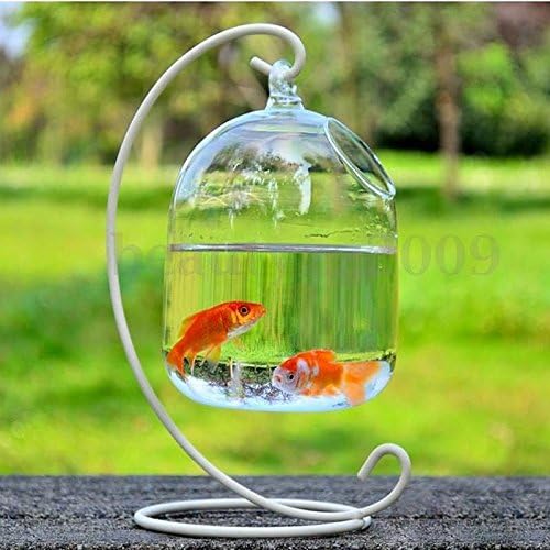 New Hanging Mount Bubble Aquarium Fish Glass Vase Tank Plant Home Decoration 16x10cm Set21