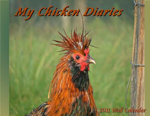 2011 My Chicken Diaries Wall Calendar