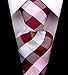 Scott Allan Mens Plaid Necktie