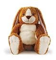 Aroma Home Hot Hugs Microwavable Warmer - Rabbit
