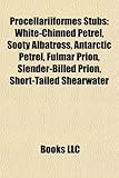 Procellariiformes Stubs: White-Chinned Petrel, Sooty Albatross, Antarctic Petrel, Fulmar Prion, Slender-Billed Prion, Short-Tailed Shearwater-