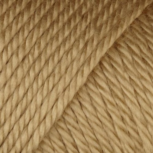 Caron Simply Soft