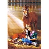 Castorland - Puzzle 1000 pièces - Mes amis les chevaux