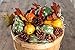 Faux Autumn Gourds, Polysilk Leaves and Natural Pinecones - Fall Decorating Kit