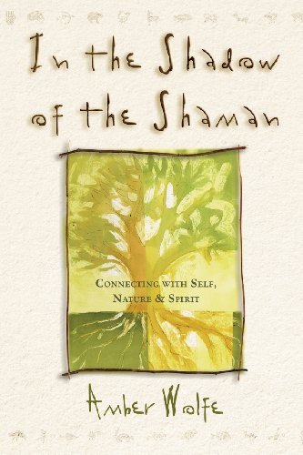 In the Shadow of the Shaman: Connecting with Self, Nature & Spirit (Llewellyn's New World Spirituality)
