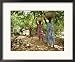 Cocoa Producing Village, Kumasi, Ghana, West Africa, Africa Framed Art Poster Print b...