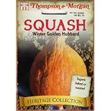 Thompson & Morgan 4860 Heirloom Squash Golden Hubbard Seed Packet