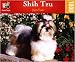 shih tzu - Shih Tzu 1000pc Puzzle