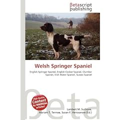 Welsh Springer Spaniel