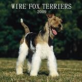 Kitchen & Housewares : Fox Terriers Wire 2009 Calendar