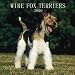 Kitchen & Housewares : Fox Terriers Wire 2009 Calendar