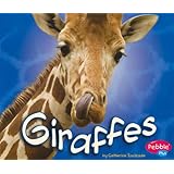 Giraffes (African Animals)